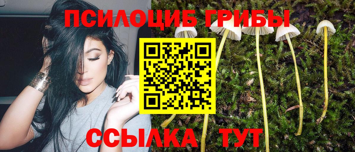 Галлюциногенные грибы прущие грибы  Галлюциногенные грибы мухоморы  где купить наркоту  Азнакаево  Вход с VPN 